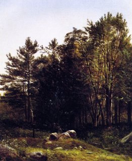 A Study near Tamworth, New Hampshire