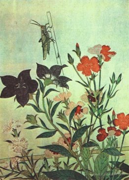 Rice Locust Red Dragonfly Pinks Chinese Bell Flowers