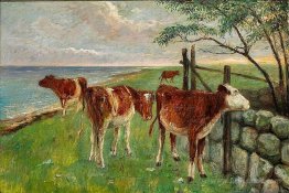 Cattle near a gate, Saltholm