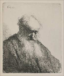 An Old Man with a Beard