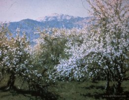 Abandoned Orchard