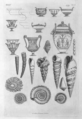 Other shells, and Greek vases etched outline