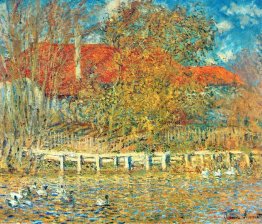 The Pond with Ducks in Autumn