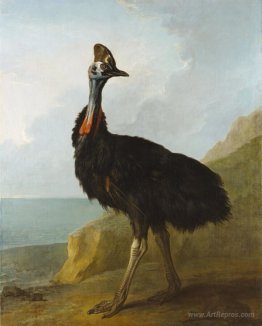 Cassowary