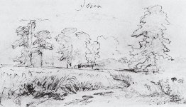 The sketch for the painting "Rye"