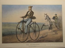 The Velocipede