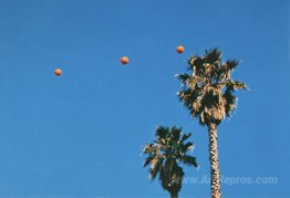 Throwing Three Balls in the Air to Get a Straight Line