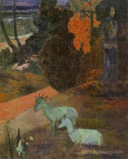 Landscape with two goats