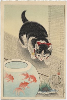 Cat and Bowl of Goldfish