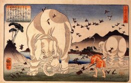 Thaishun with elephants