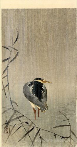 Heron in Downpour