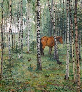 Horse between Birches