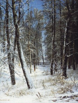 Winter in a forest (Rime)