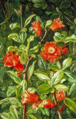 Flowers of the Pomegranate, Painted in Teneriffe