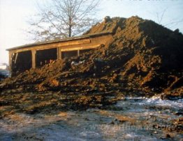 Partially Buried Woodshed