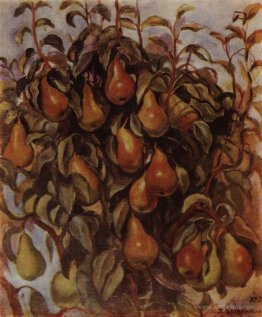 Pears on the branches 