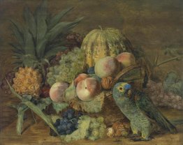 Fruit Still Life with an Amazon parrot