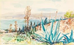 Mediterranean landscape