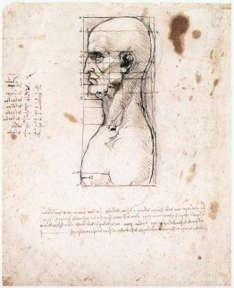 Bust of a man in profile with measurements and notes