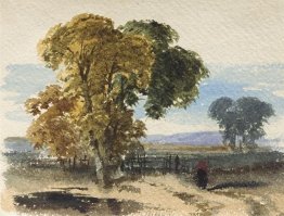 Moorland landscape (Tree Study)