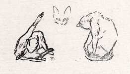 Three Cats Study