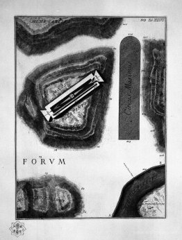 Location of the Circus Maximus