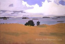 Penobscot Bay with Yellow Field