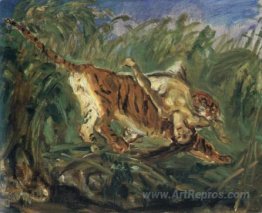 Tiger in the Jungle