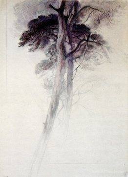 Study of Trees from Turner