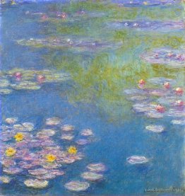 Water Lilies