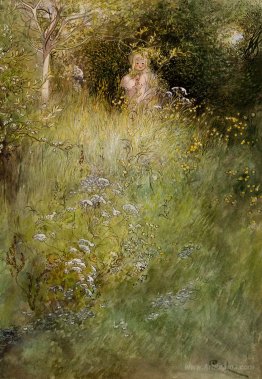 A Fairy Or Kersti And A View Of A Meadow