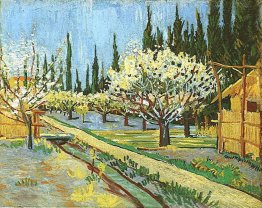 Orchard in Blossom, Bordered by Cypresses