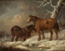 Two Horses in the Snow