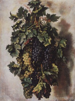 Grapes 