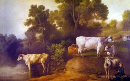 Cattle by a Stream