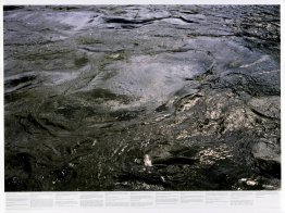 Untitled (from the series Still Water (The River Thames, for Exa