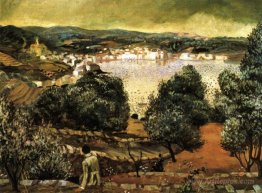 Olive Trees. Landscape at Cadaques