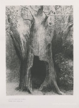 I plunged into solitude. I dwelt in the tree behind me. (plate 9