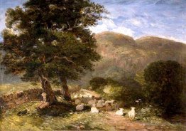 Tending Sheep, Betws-y-Coed