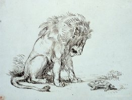 Lion and Tortoise