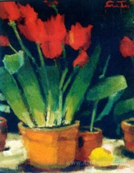 Tulips