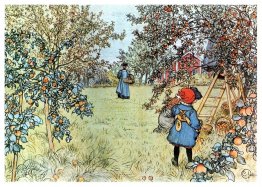 The Apple Harvest