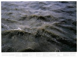 Untitled (from the series Still Water (The River Thames, for Exa