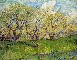 Orchard in Blossom