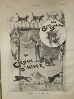 Trained cats in circus