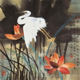 Lotus and Bird