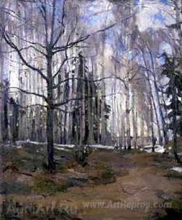 Birch Forest