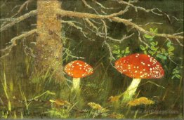 Toadstools under the Tree