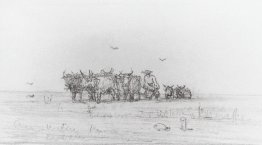 Ploughing on oxen