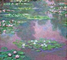 Water Lilies